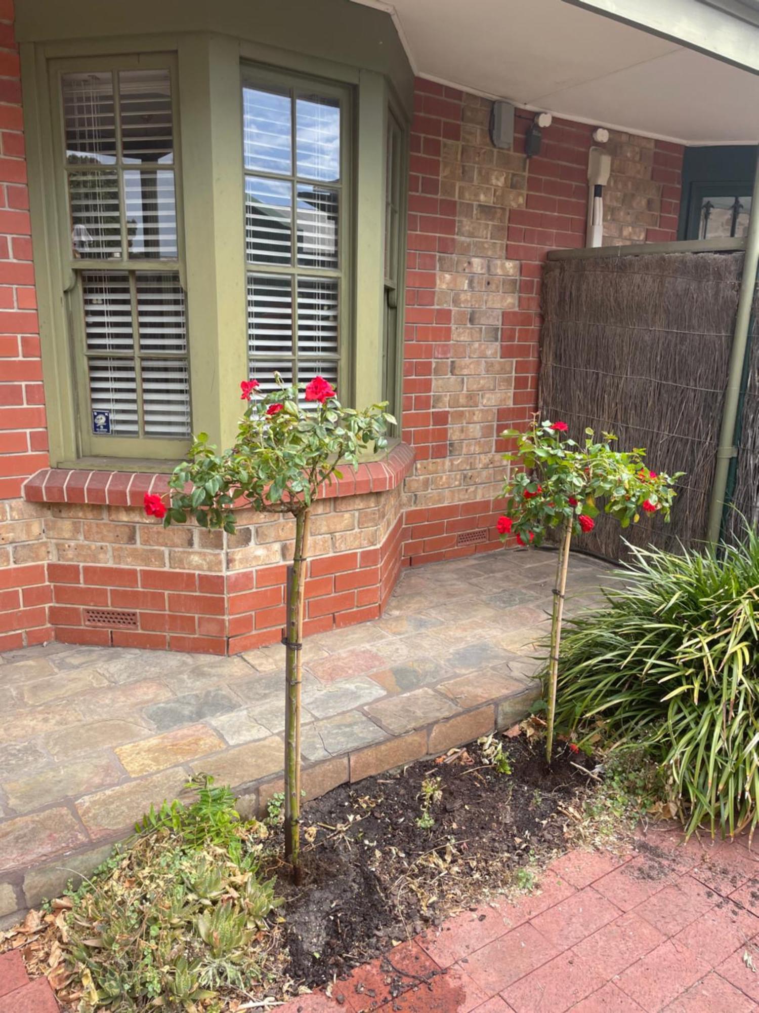 Adelaide Style Accommodation-Getaway In North Adelaide- Close To City Zewnętrze zdjęcie