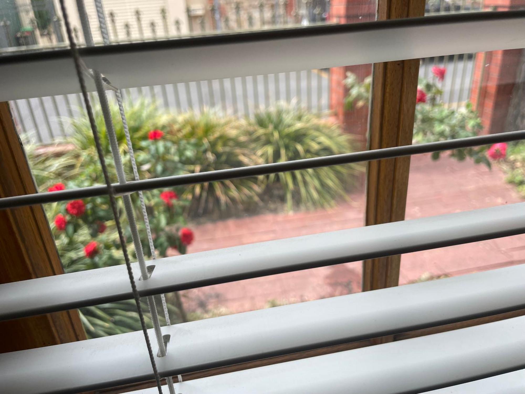 Adelaide Style Accommodation-Getaway In North Adelaide- Close To City Zewnętrze zdjęcie