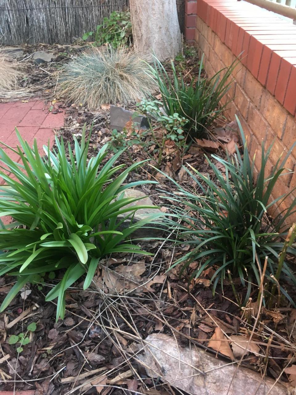 Adelaide Style Accommodation-Getaway In North Adelaide- Close To City Zewnętrze zdjęcie