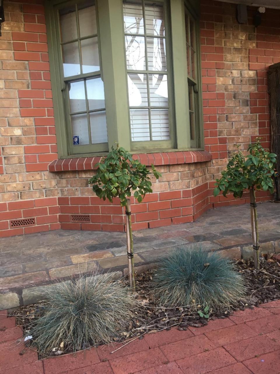 Adelaide Style Accommodation-Getaway In North Adelaide- Close To City Zewnętrze zdjęcie
